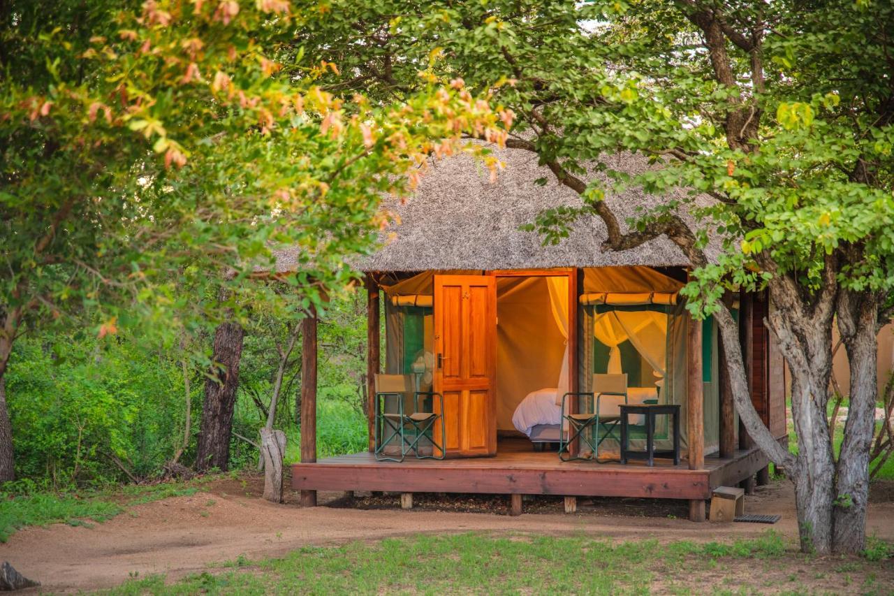 Shindzela Tented Camp Timbavati Game Reserve Exterior photo