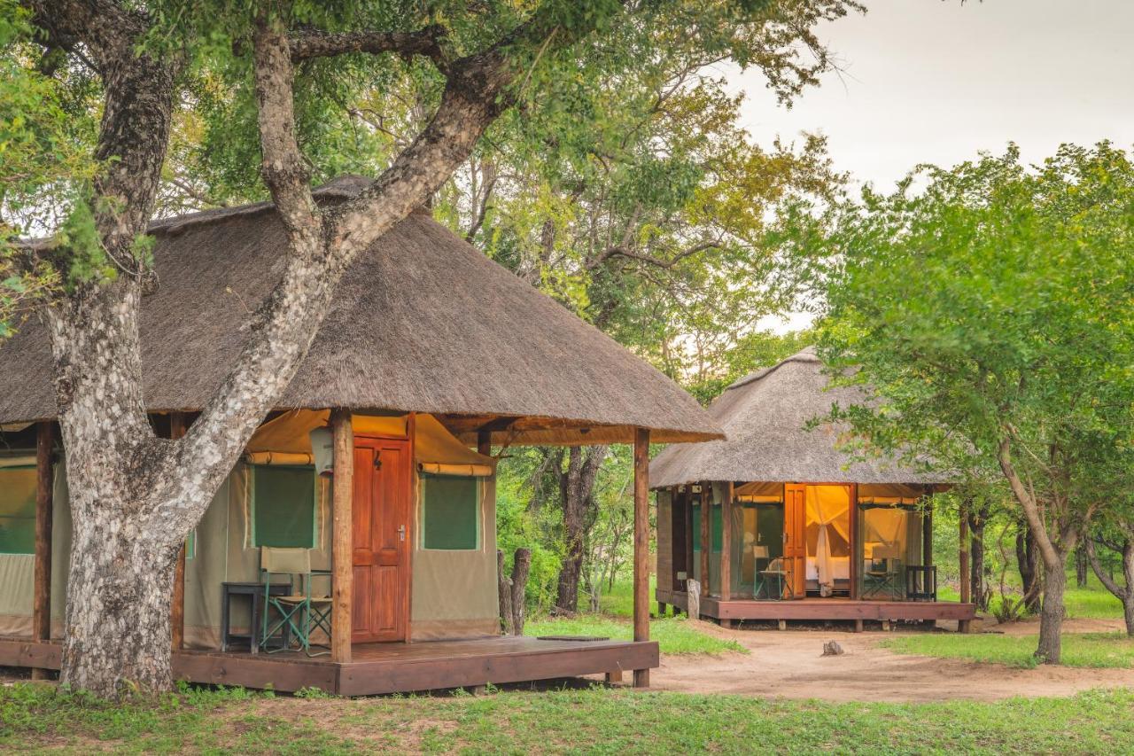 Shindzela Tented Camp Timbavati Game Reserve Exterior photo